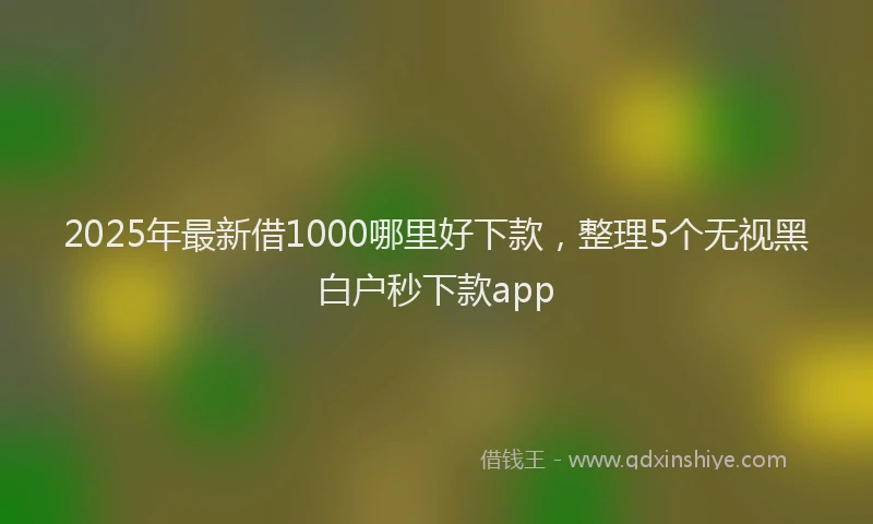 2025年最新借1000哪里好下款，整理5个无视黑白户秒下款app