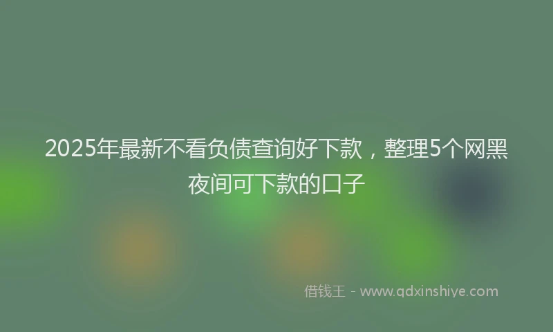 2025年最新不看负债查询好下款，整理5个网黑夜间可下款的口子