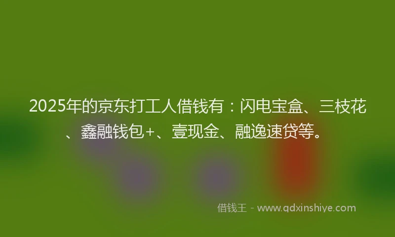2025年的京东打工人借钱有：闪电宝盒、三枝花、鑫融钱包+、壹现金、融逸速贷等。