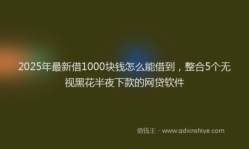 2025年最新借1000块钱怎么能借到，整合5个无视黑花半夜下款的网贷软件