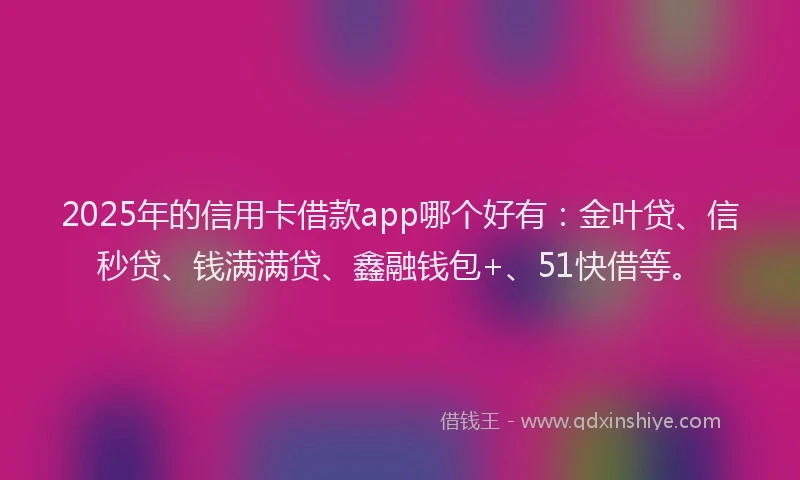 2025年的信用卡借款app哪个好有：金叶贷、信秒贷、钱满满贷、鑫融钱包+、51快借等。