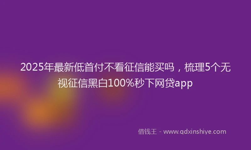 2025年最新低首付不看征信能买吗，梳理5个无视征信黑白100%秒下网贷app