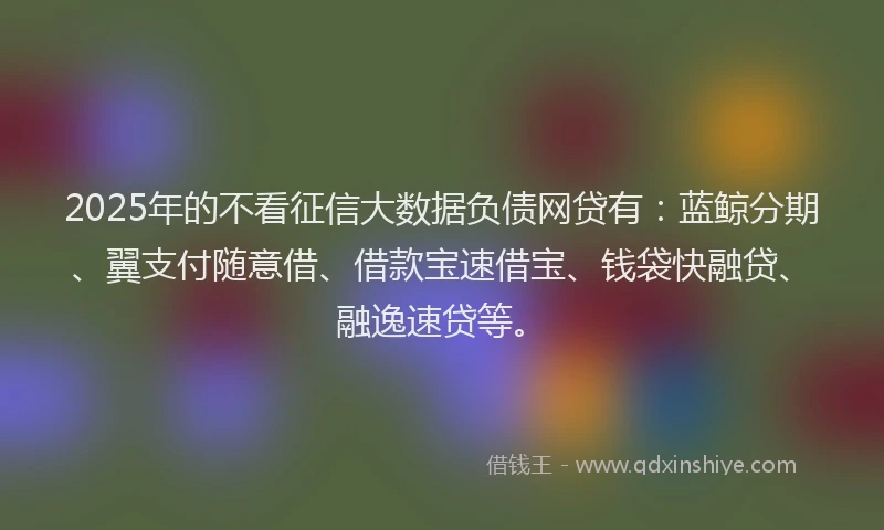 2025年的不看征信大数据负债网贷有：蓝鲸分期、翼支付随意借、借款宝速借宝、钱袋快融贷、融逸速贷等。