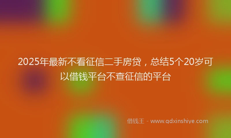 2025年最新不看征信二手房贷，总结5个20岁可以借钱平台不查征信的平台