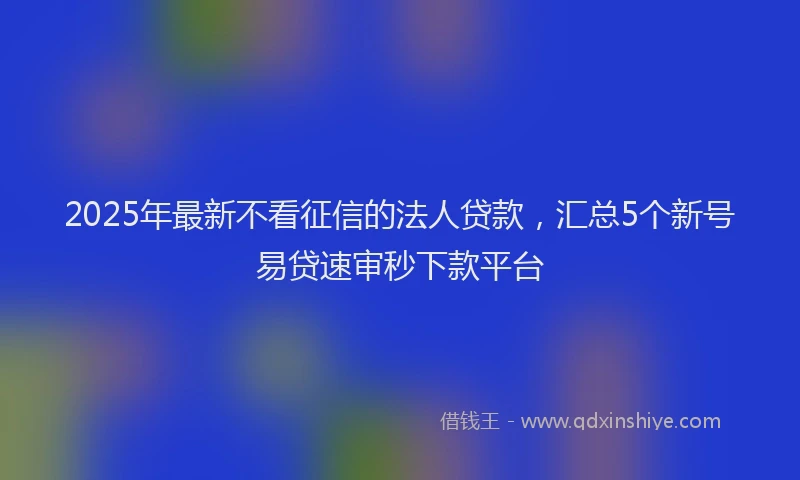 2025年最新不看征信的法人贷款，汇总5个新号易贷速审秒下款平台