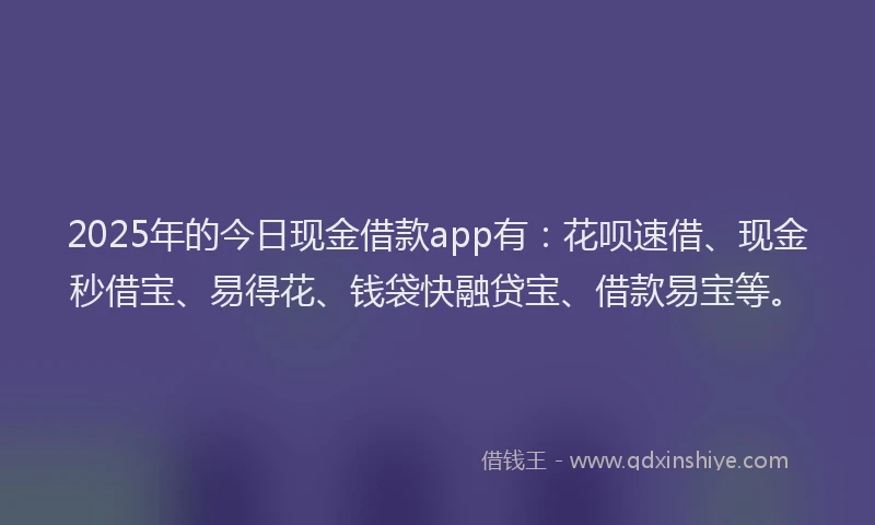 2025年的今日现金借款app有：花呗速借、现金秒借宝、易得花、钱袋快融贷宝、借款易宝等。