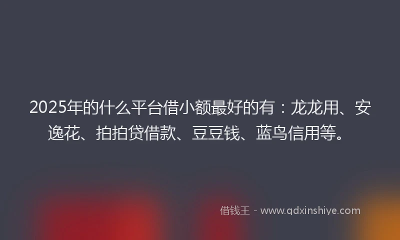 2025年的什么平台借小额最好的有：龙龙用、安逸花、拍拍贷借款、豆豆钱、蓝鸟信用等。