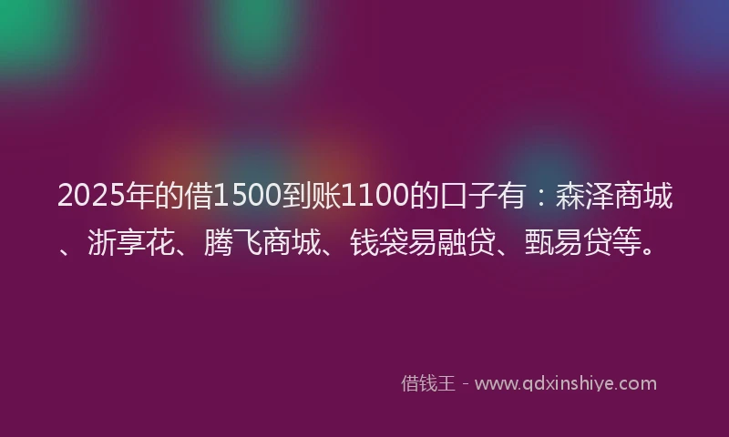 2025年的借1500到账1100的口子有：森泽商城、浙享花、腾飞商城、钱袋易融贷、甄易贷等。