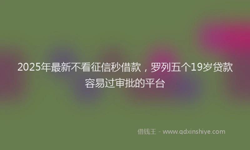 2025年最新不看征信秒借款，罗列五个19岁贷款容易过审批的平台