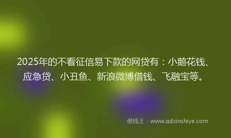 2025年的不看征信易下款的网贷有：小鹅花钱、应急贷、小丑鱼、新浪微博借钱、飞融宝等。