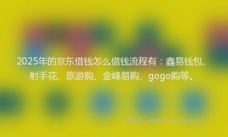 2025年的京东借钱怎么借钱流程有：鑫易钱包、射手花、旅游购、金峰易购、gogo购等。