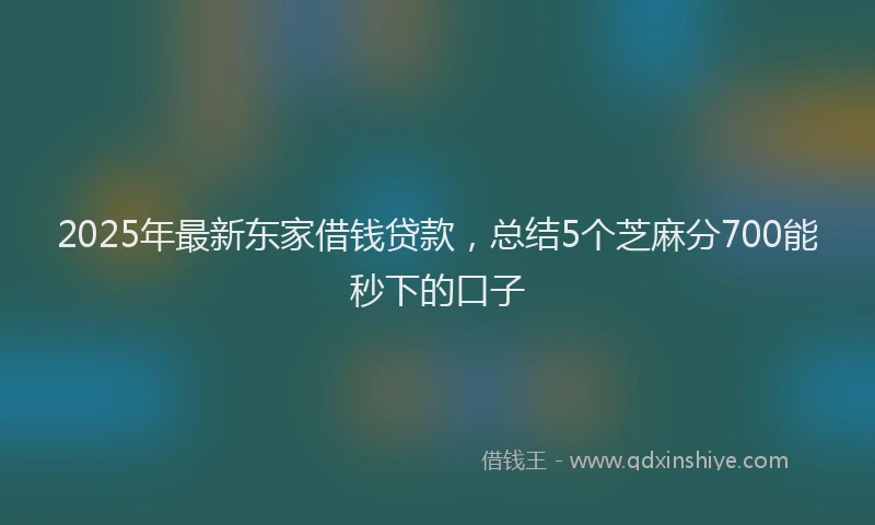 2025年最新东家借钱贷款，总结5个芝麻分700能秒下的口子