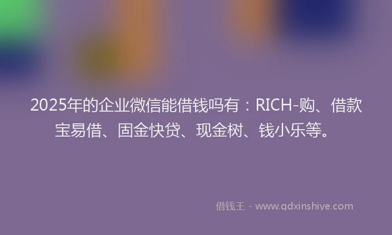 2025年的企业微信能借钱吗有：RICH-购、借款宝易借、固金快贷、现金树、钱小乐等。