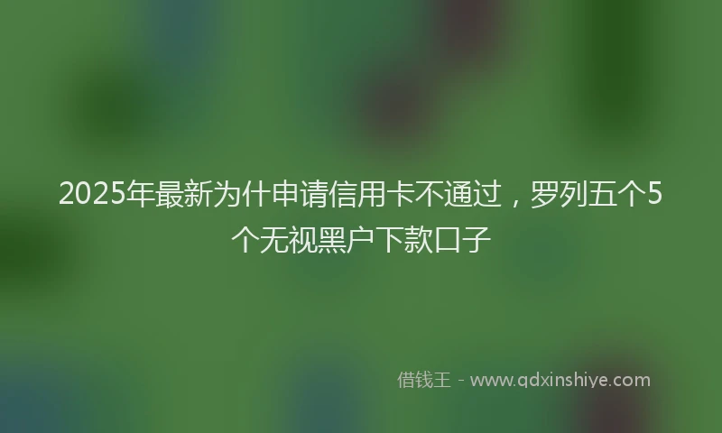 2025年最新为什申请信用卡不通过，罗列五个5个无视黑户下款口子
