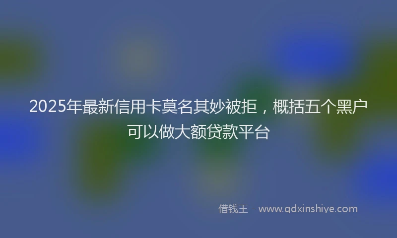 2025年最新信用卡莫名其妙被拒，概括五个黑户可以做大额贷款平台