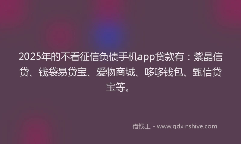 2025年的不看征信负债手机app贷款有：紫晶信贷、钱袋易贷宝、爱物商城、哆哆钱包、甄信贷宝等。