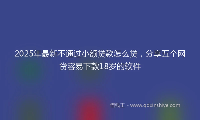 2025年最新不通过小额贷款怎么贷，分享五个网贷容易下款18岁的软件