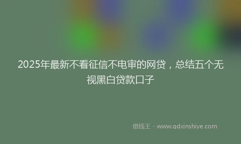 2025年最新不看征信不电审的网贷，总结五个无视黑白贷款口子