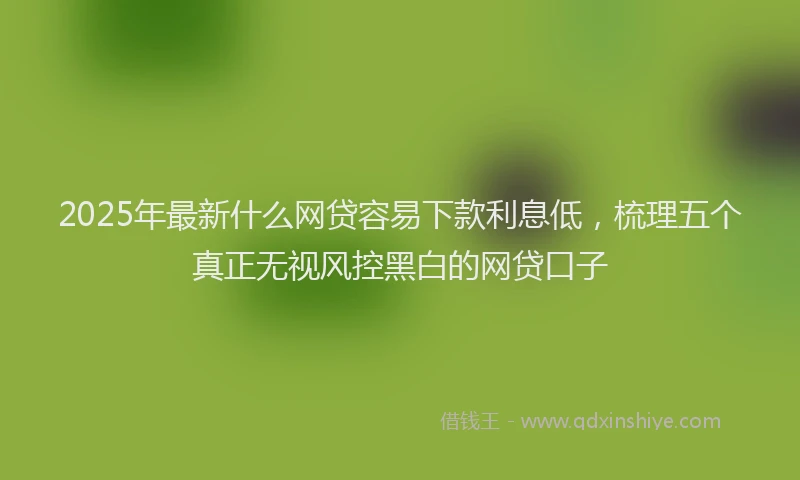 2025年最新什么网贷容易下款利息低，梳理五个真正无视风控黑白的网贷口子