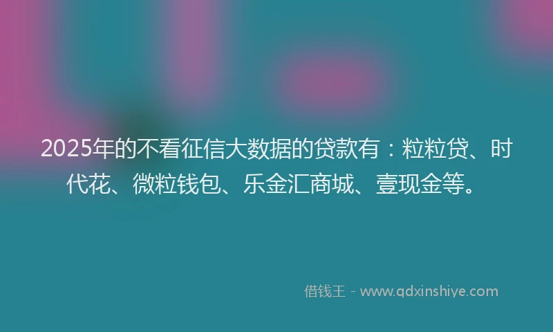 2025年的不看征信大数据的贷款有：粒粒贷、时代花、微粒钱包、乐金汇商城、壹现金等。