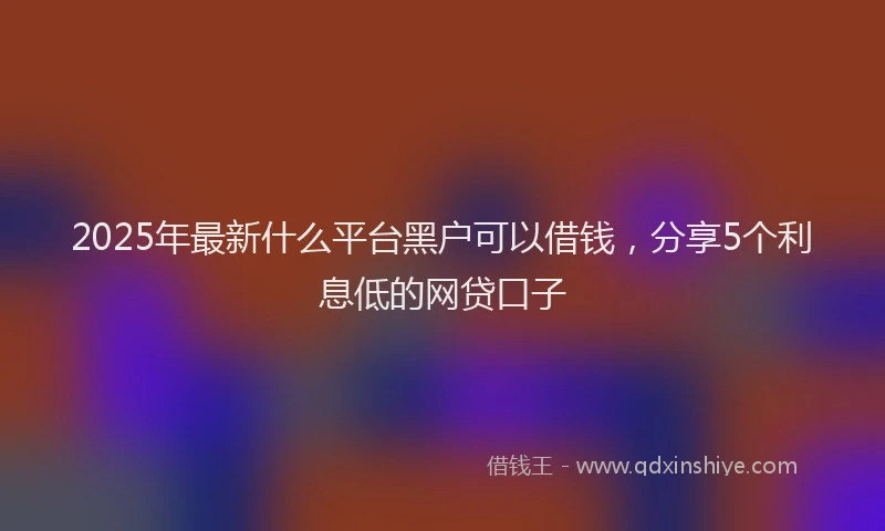 2025年最新什么平台黑户可以借钱，分享5个利息低的网贷口子