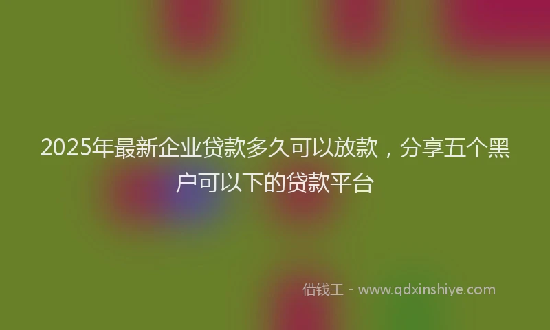 2025年最新企业贷款多久可以放款，分享五个黑户可以下的贷款平台