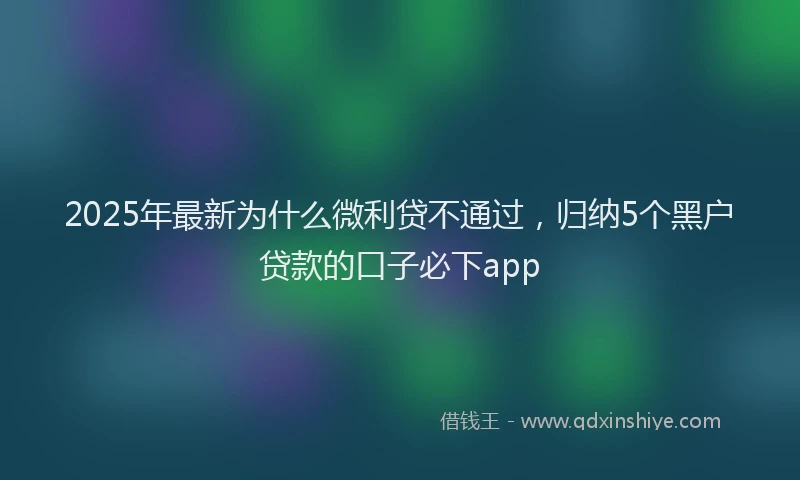 2025年最新为什么微利贷不通过，归纳5个黑户贷款的口子必下app