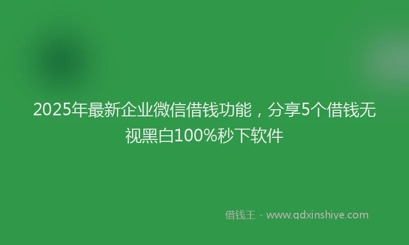 2025年最新企业微信借钱功能，分享5个借钱无视黑白100%秒下软件