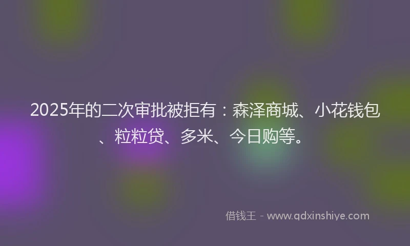 2025年的二次审批被拒有：森泽商城、小花钱包、粒粒贷、多米、今日购等。
