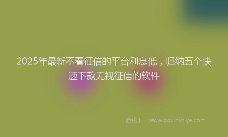 2025年最新不看征信的平台利息低，归纳五个快速下款无视征信的软件