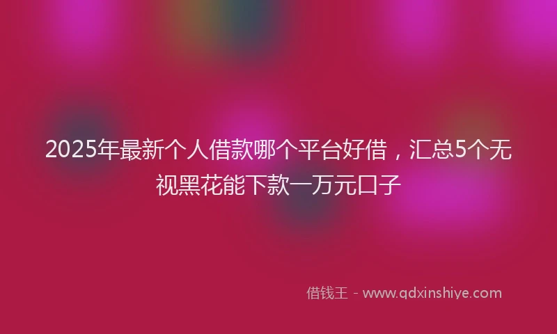 2025年最新个人借款哪个平台好借，汇总5个无视黑花能下款一万元口子