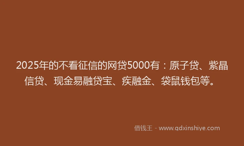 2025年的不看征信的网贷5000有：原子贷、紫晶信贷、现金易融贷宝、疾融金、袋鼠钱包等。