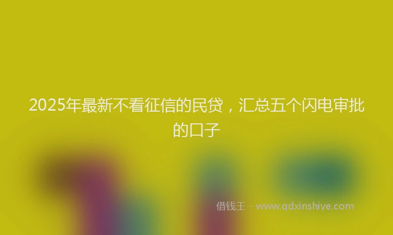 2025年最新不看征信的民贷，汇总五个闪电审批的口子