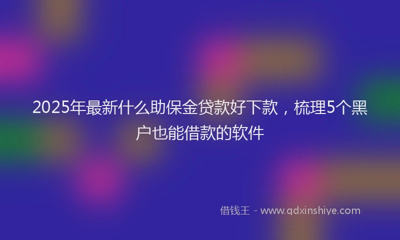 2025年最新什么助保金贷款好下款，梳理5个黑户也能借款的软件