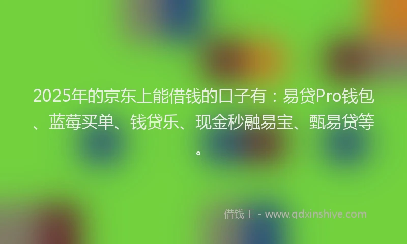 2025年的京东上能借钱的口子有：易贷Pro钱包、蓝莓买单、钱贷乐、现金秒融易宝、甄易贷等。