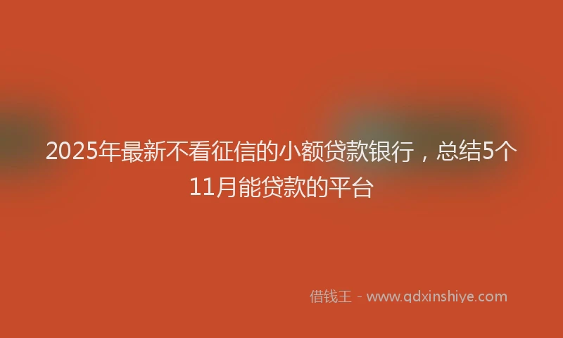 2025年最新不看征信的小额贷款银行，总结5个11月能贷款的平台