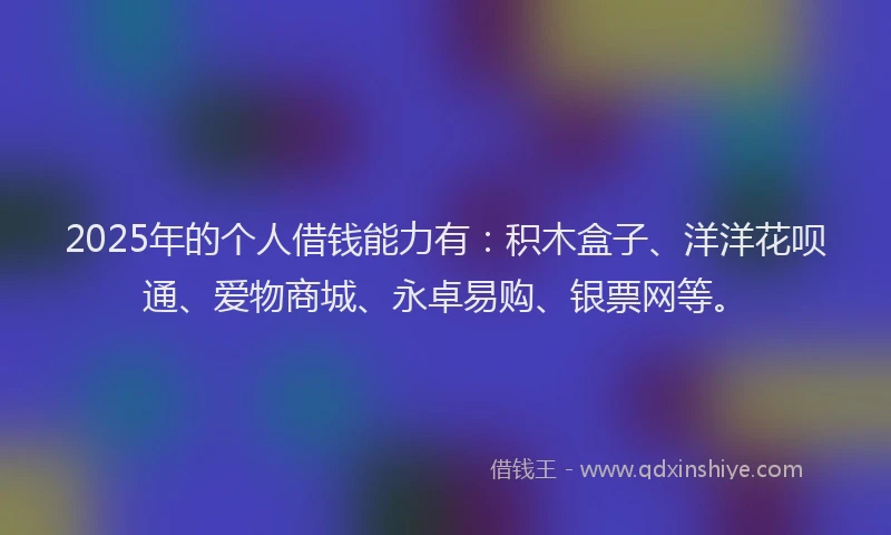 2025年的个人借钱能力有：积木盒子、洋洋花呗通、爱物商城、永卓易购、银票网等。