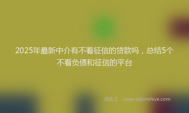 2025年最新中介有不看征信的贷款吗，总结5个不看负债和征信的平台