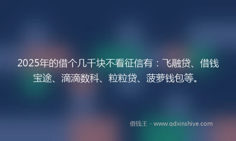 2025年的借个几千块不看征信有：飞融贷、借钱宝途、滴滴数科、粒粒贷、菠萝钱包等。