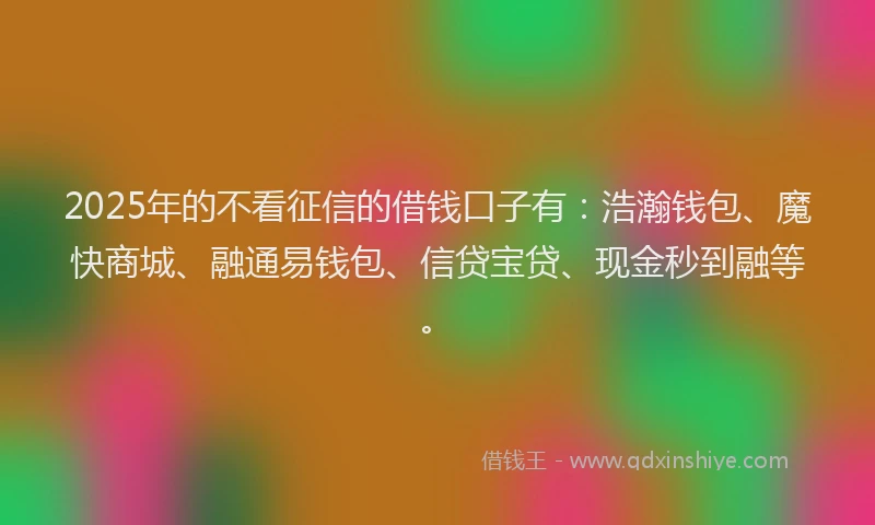 2025年的不看征信的借钱口子有：浩瀚钱包、魔快商城、融通易钱包、信贷宝贷、现金秒到融等。