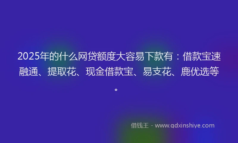 2025年的什么网贷额度大容易下款有：借款宝速融通、提取花、现金借款宝、易支花、鹿优选等。