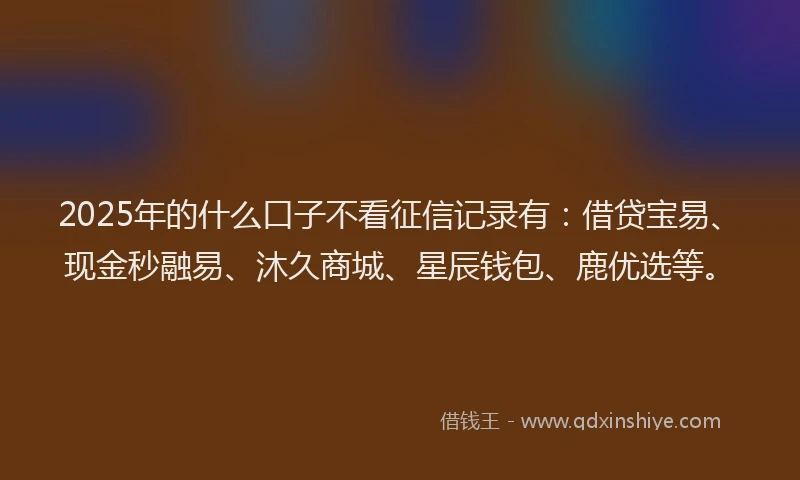 2025年的什么口子不看征信记录有：借贷宝易、现金秒融易、沐久商城、星辰钱包、鹿优选等。