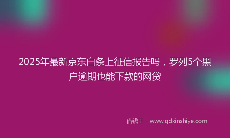 2025年最新京东白条上征信报告吗，罗列5个黑户逾期也能下款的网贷