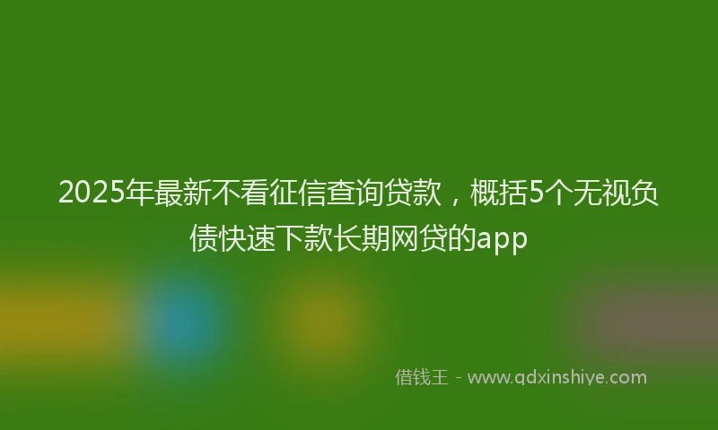 2025年最新不看征信查询贷款，概括5个无视负债快速下款长期网贷的app