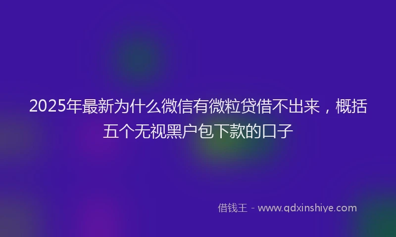 2025年最新为什么微信有微粒贷借不出来，概括五个无视黑户包下款的口子