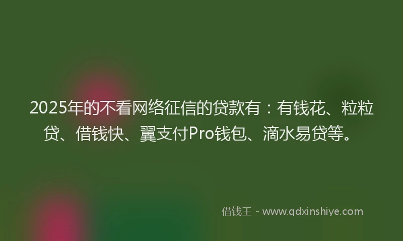 2025年的不看网络征信的贷款有：有钱花、粒粒贷、借钱快、翼支付Pro钱包、滴水易贷等。
