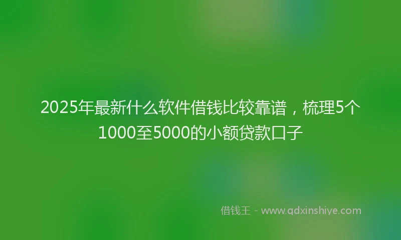 2025年最新什么软件借钱比较靠谱，梳理5个1000至5000的小额贷款口子