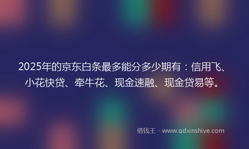 2025年的京东白条最多能分多少期有：信用飞、小花快贷、牵牛花、现金速融、现金贷易等。
