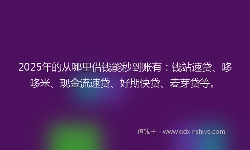 2025年的从哪里借钱能秒到账有：钱站速贷、哆哆米、现金流速贷、好期快贷、麦芽贷等。