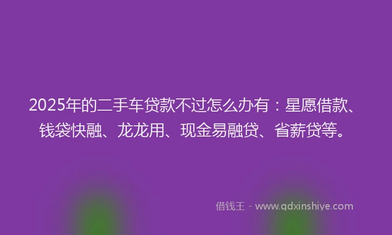 2025年的二手车贷款不过怎么办有：星愿借款、钱袋快融、龙龙用、现金易融贷、省薪贷等。